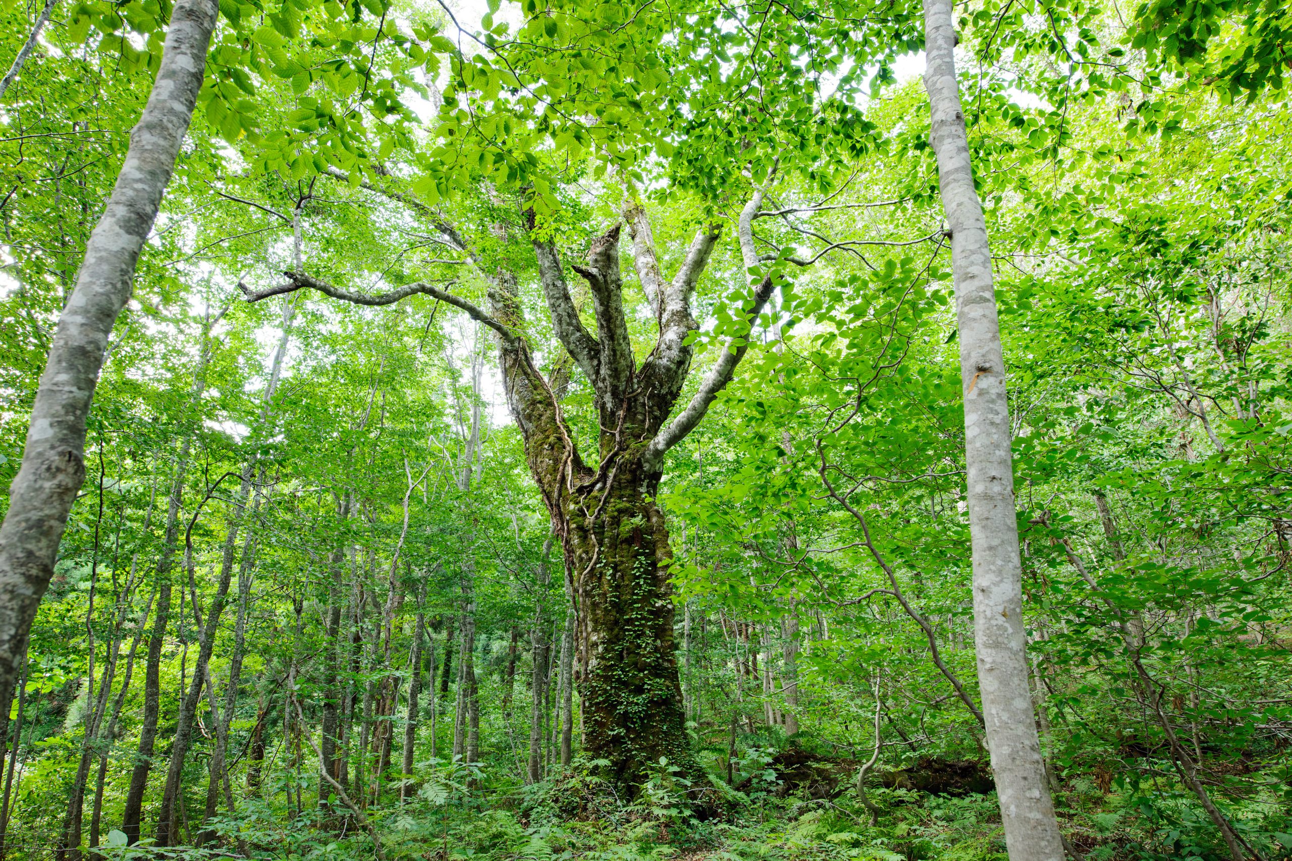 キービジュアル画像