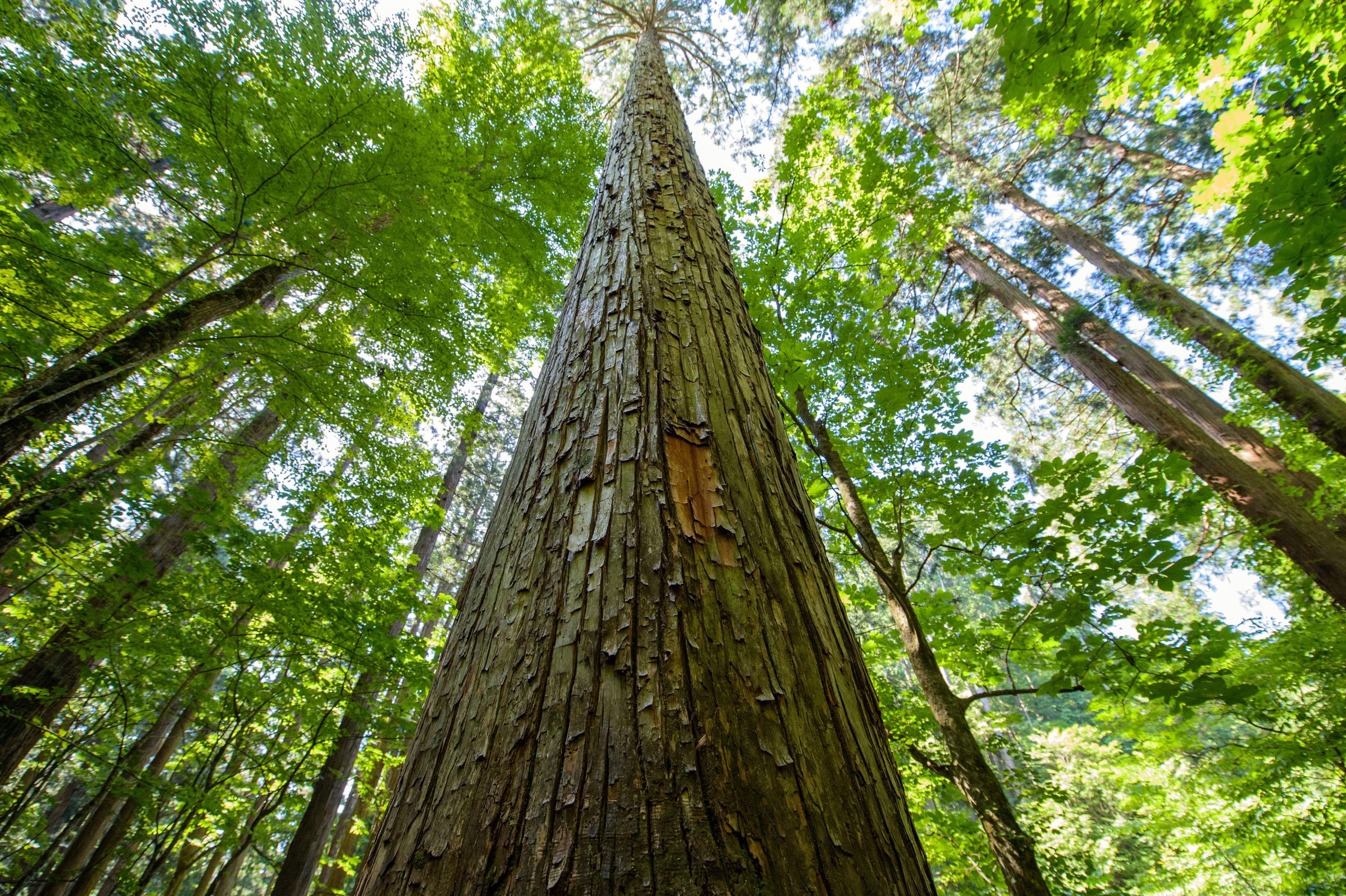 キービジュアル画像