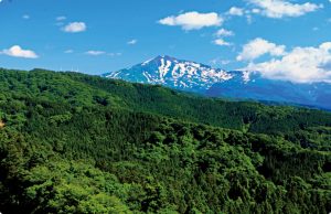 秋田県の森林資源イメージ
