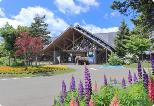 木材産業イメージ