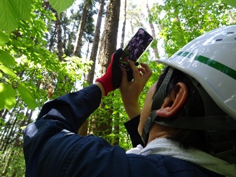 森の木を撮影している様子